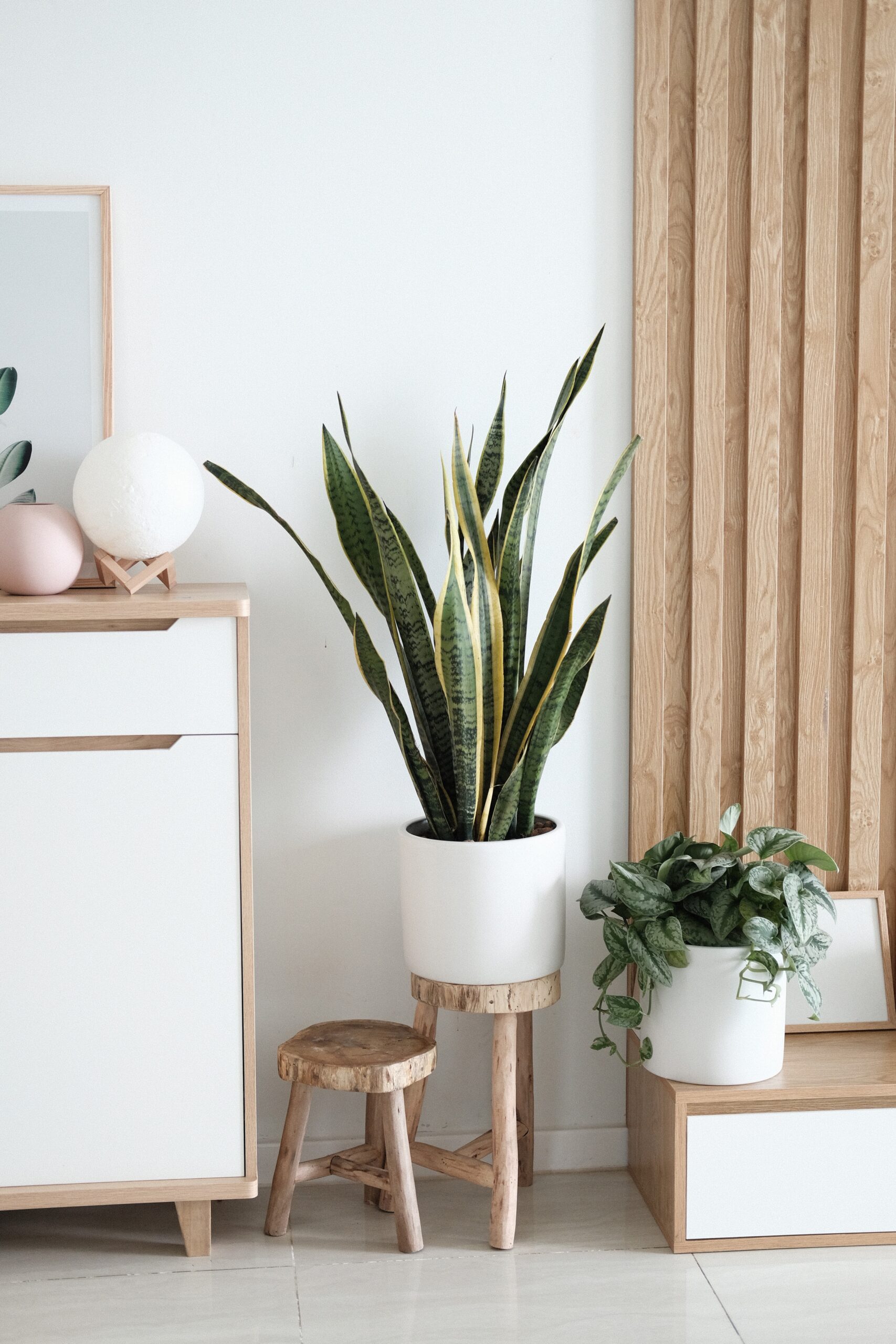 HOME STAGING - LARRAZ INMOBILIARIA - AGENCIA INMOBILIARIA EN NAVARRA