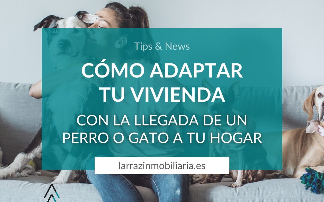 Cómo adaptar tu vivienda con la llegada de un perro y/o gato.